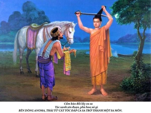 lịch sử cuộc đời Đức Phật trầm tuệ trúc lâm quán tuệ tramtue truclamquantue (1)