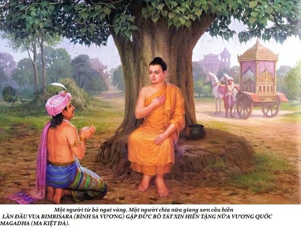 lịch sử cuộc đời Đức Phật trầm tuệ trúc lâm quán tuệ tramtue truclamquantue (1)