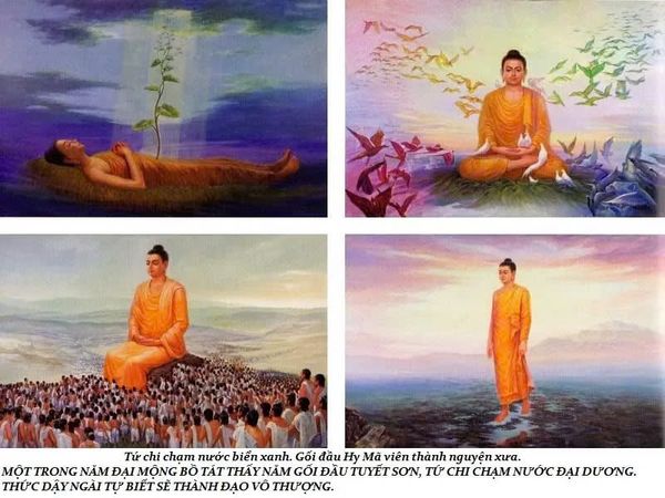 lịch sử cuộc đời Đức Phật trầm tuệ trúc lâm quán tuệ tramtue truclamquantue