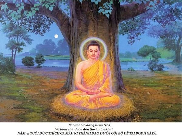 lịch sử cuộc đời Đức Phật trầm tuệ trúc lâm quán tuệ tramtue truclamquantue