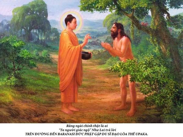 lịch sử cuộc đời Đức Phật trầm tuệ trúc lâm quán tuệ tramtue truclamquantue