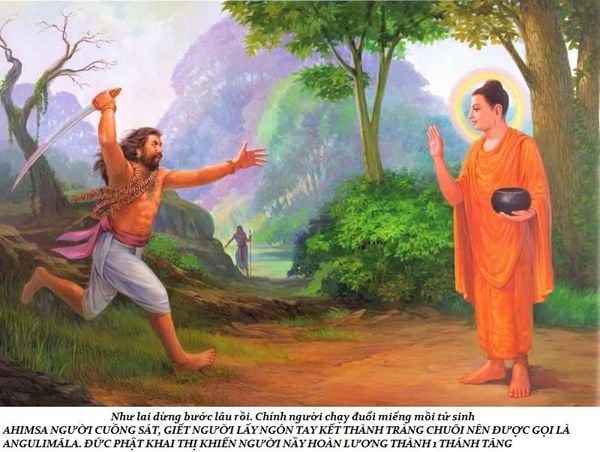 lịch sử cuộc đời Đức Phật trầm tuệ trúc lâm quán tuệ tramtue truclamquantue (38)