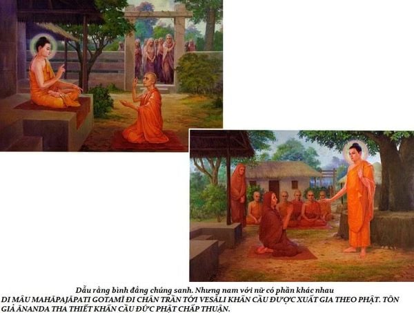 lịch sử cuộc đời Đức Phật trầm tuệ trúc lâm quán tuệ tramtue truclamquantue (38)