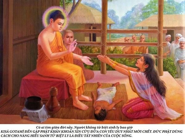 lịch sử cuộc đời Đức Phật trầm tuệ trúc lâm quán tuệ tramtue truclamquantue (38)