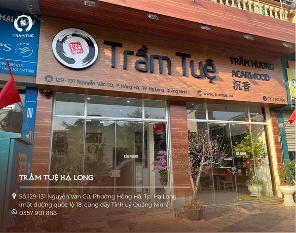 tổng hợp các shop cửa hàng đại lý của Trầm Tuệ trên toàn quốc