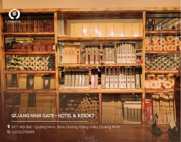 tổng hợp các shop đại lý của Trầm Tuệ trên toàn quốc