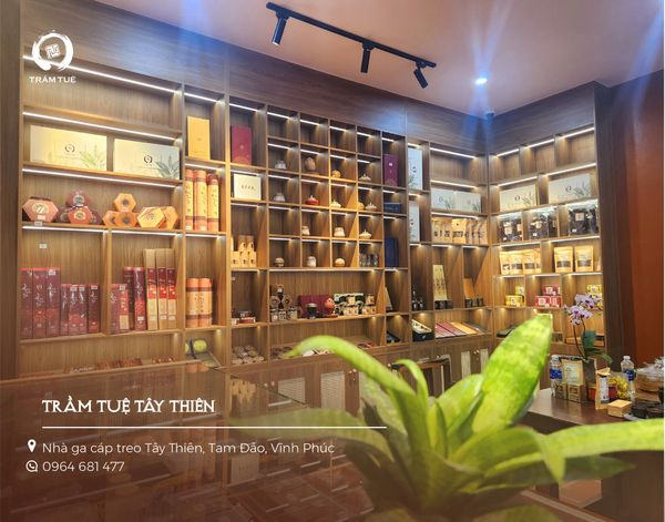 tổng hợp các shop đại lý của Trầm Tuệ trên toàn quốc