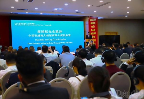 Trầm Tuệ tham dự Hội nghị kết nối cơ hội kinh doanh Việt Nam - Trung Quốc (RCEP)