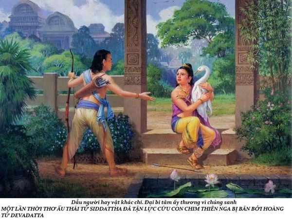 lịch sử cuộc đời Đức Phật trầm tuệ trúc lâm quán tuệ tramtue truclamquantue (1)