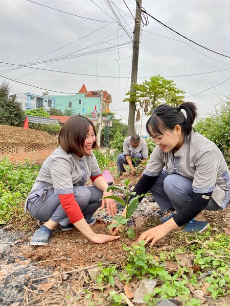 mùa xuân là Tết trồng cây 2024 Trầm Tuệ