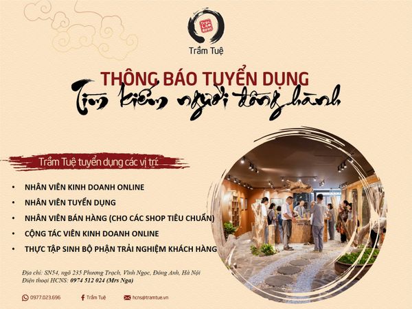 Trầm Tuệ tuyển dụng các vị trí công việc