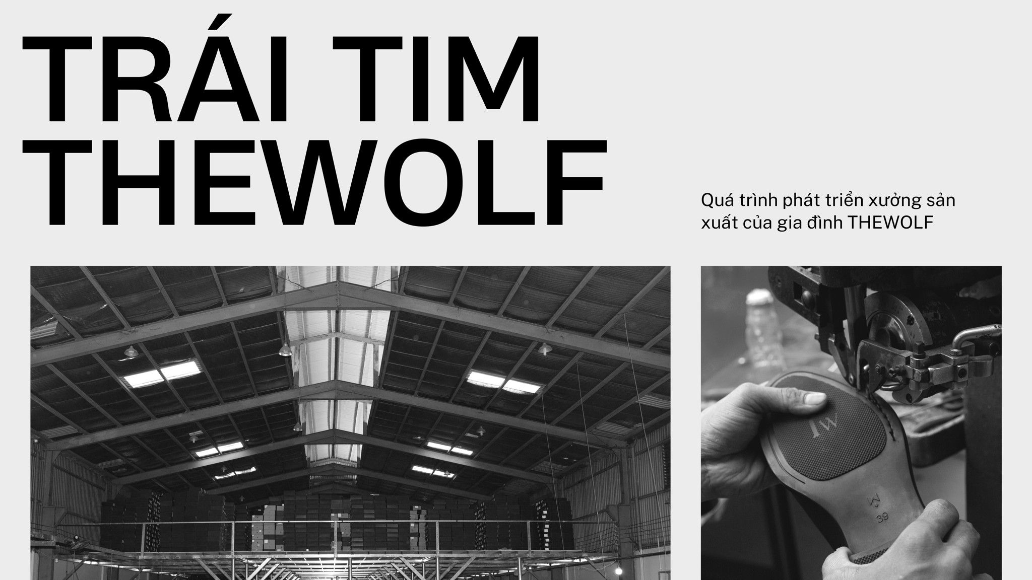 TRÁI TIM THEWOLF