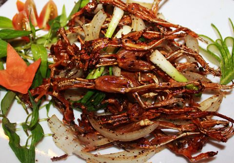 Thưởng thức 3 món đặc sản Nam Cát Tiên: Ăn một lần là nhớ mãi!