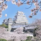 Đến Nhật Bản, khám phá ‘lâu đài hạc trắng’ Himeji