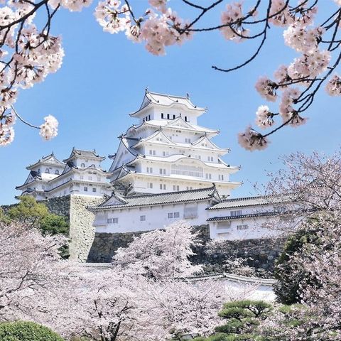 Đến Nhật Bản, khám phá ‘lâu đài hạc trắng’ Himeji