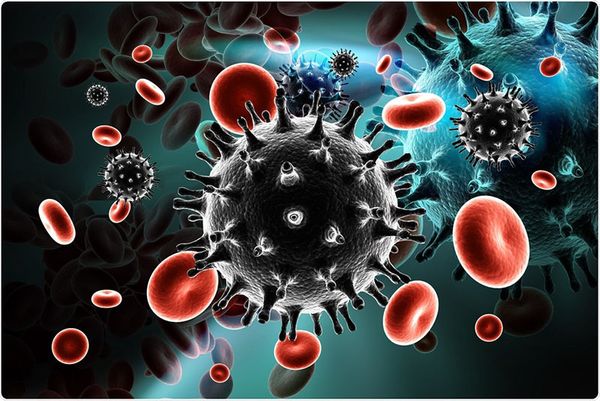 Giai đoạn cửa sổ HIV có triệu chứng gì xử lý ra sao nếu bị nhiễm Trung tâm  xét nghiệm Genmedic