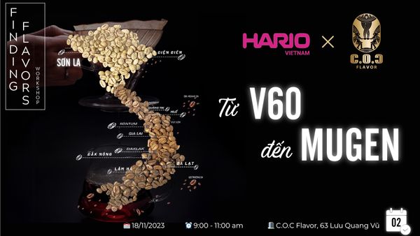 WORKSHOP 02: TỪ HARIO V60 ĐẾN MUGEN: KHÁM PHÁ NGHỆ THUẬT PHA CÀ PHÊ POUR OVER