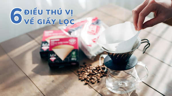 TẤT TẦN TẬT NHỮNG ĐIỀU THÚ VỊ VỀ GIẤY LỌC CÀ PHÊ
