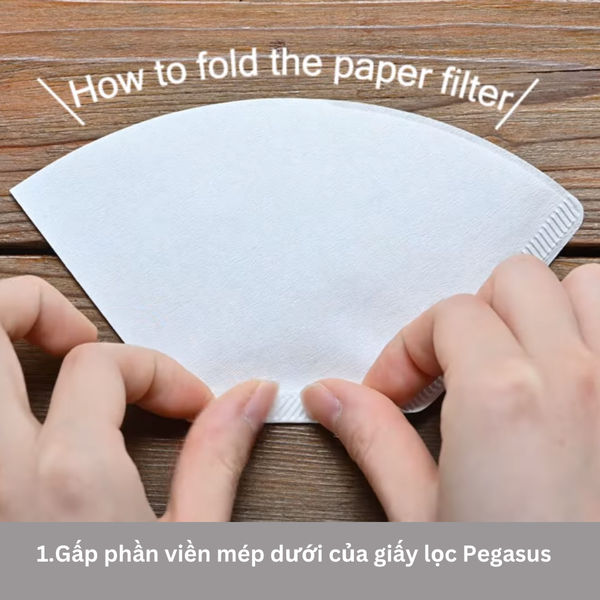 Giay-loc-ca-phe-Hario-Pegasus-coffee-paper-filter-100-to-size-02-mau-nau-tu-nhien-PEF-02-100M