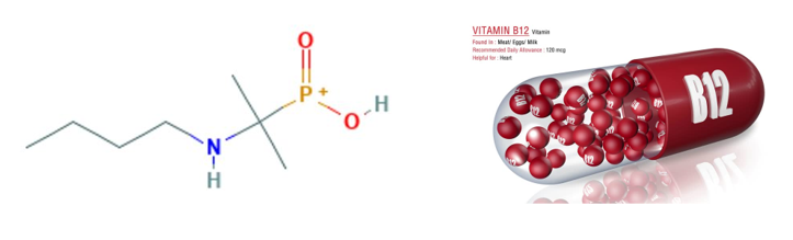 Butaphosphan và vitamin B12 - Sự kết hợp cộng hưởng mang lại nhiều lợi ích