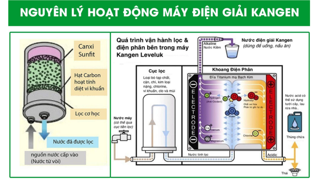 Kangen Leveluk MW-7000 HG - Phương Nam Water 2