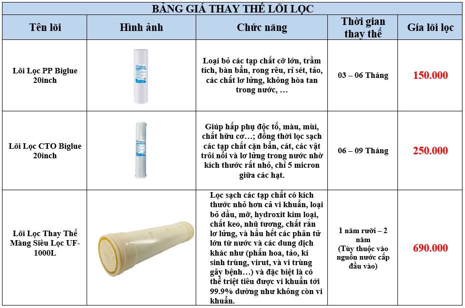 Lọc Nước Đầu Nguồn 2 Cấp Biglue UF-1000L/h Funaco Phương Nam Water 5