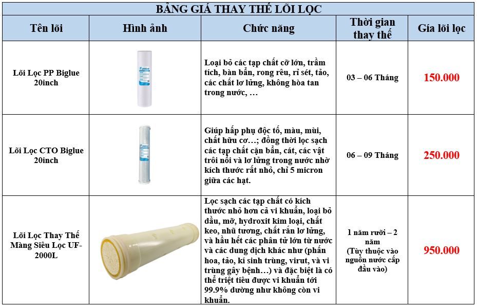 Lọc Nước Đầu Nguồn 2 Cấp Biglue UF-2000L/h Phương Nam Water 5