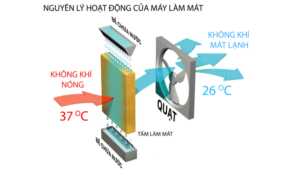 Daikiosan DM305 - Phương Nam Water  2