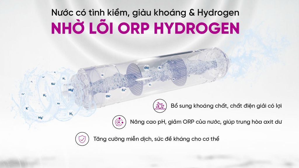 Máy Lọc Nước Mutosi MP-S1013 Nóng Lạnh - Phuong Nam Water 6