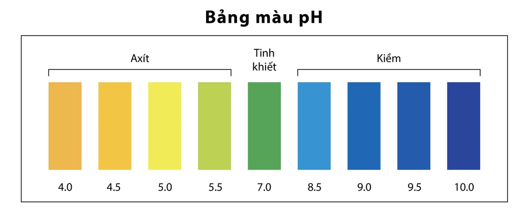 Everking EK-99 - Phương Nam Water 4