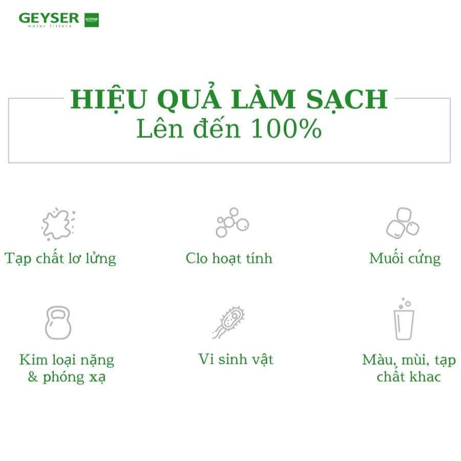 Geyser Ecotar Classic - Phương Nam Water 6