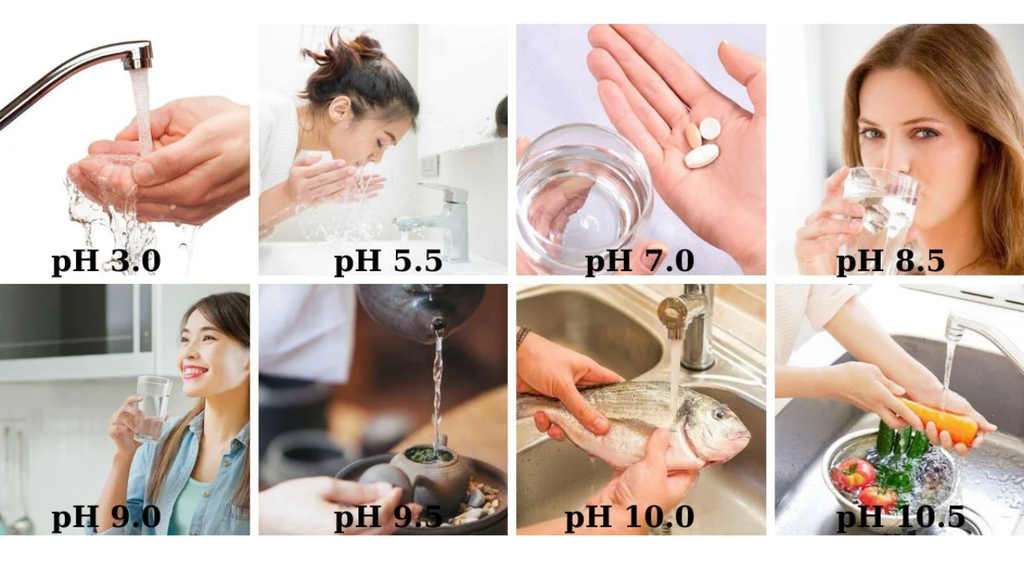 Trim Ion TI-9000 - Phương Nam Water 11