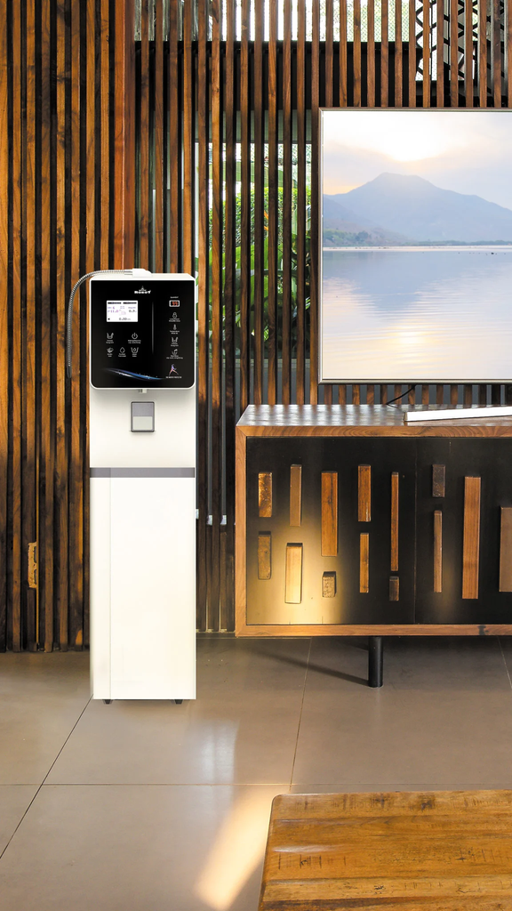 IonKing 711 - Phương Nam Water 10