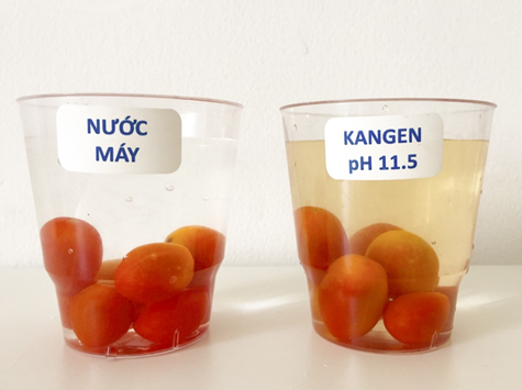Kangen Leveluk SUPER-501 - Phương Nam Water 10