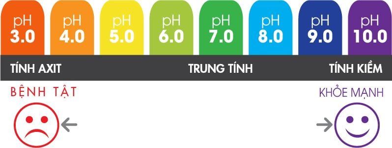 Kangen Leveluk SUPER-501 - Phương Nam Water 3