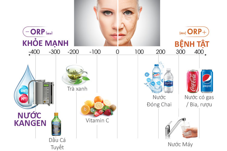 Leveluk SD501 Platinum - Phương Nam Water 4