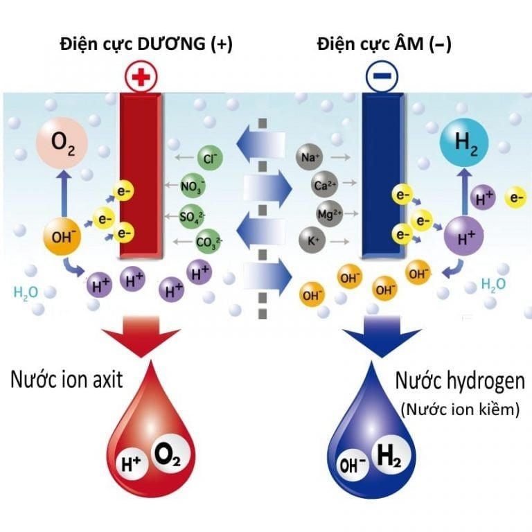 nguyên lý hoạt động của máy điện giải - Phương Nam Water 3