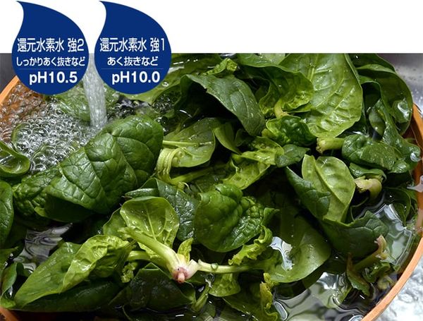 Panasonic TK-HS92K - Phương Nam Water 11