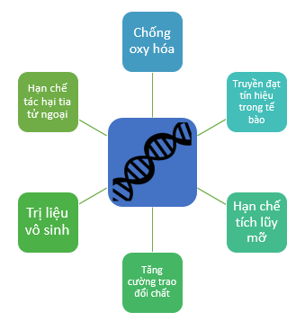 trim ion hyper - phương nam water 11