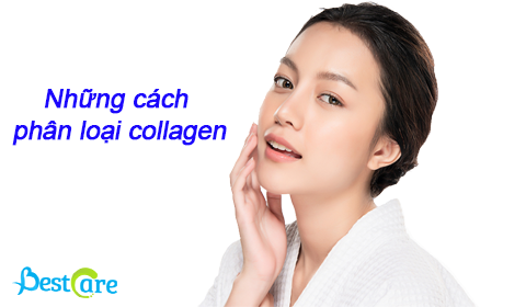 Những cách phân loại collagen