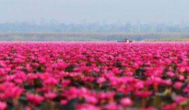 10 điểm du lịch nhuộm sắc hồng trên khắp thế giới