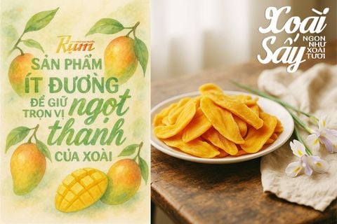 XOÀI SẤY - TƯỞNG THÔ NHƯNG MỊN TRONG TỪNG MIẾNG XOÀI MỌNG NƯỚC !!!!