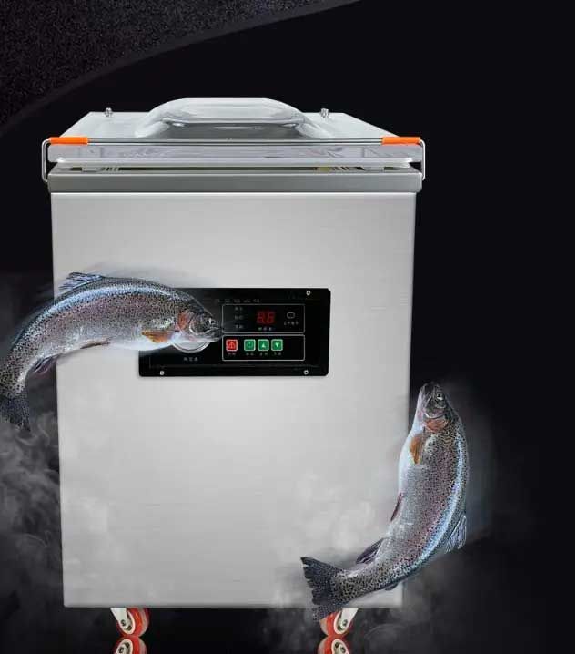 Máy đóng gói hút chân không một buồng DZQ-400