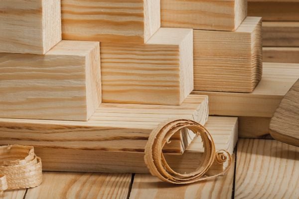 Giá trị Bền vững: Cam kết với Tương lai