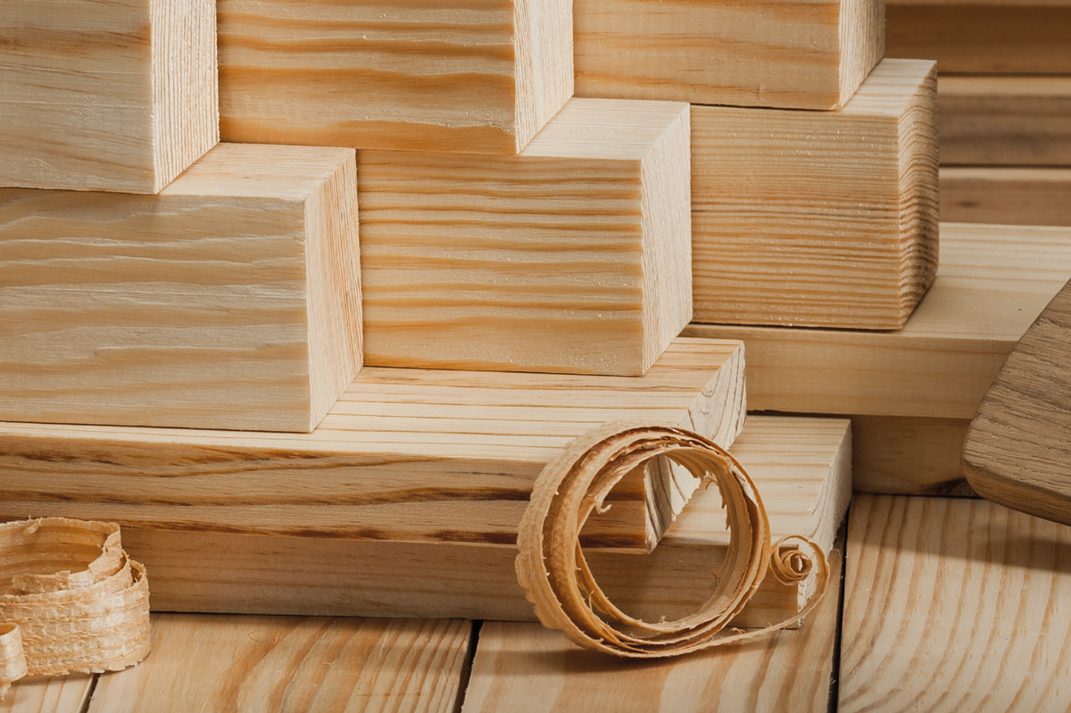 The Value of Sustainability: A Commitment to the Future