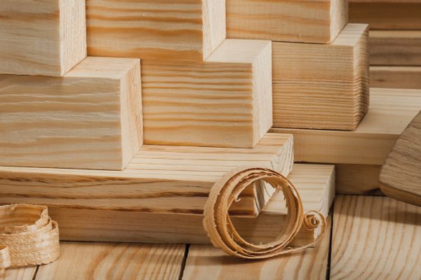 The Value of Sustainability: A Commitment to the Future