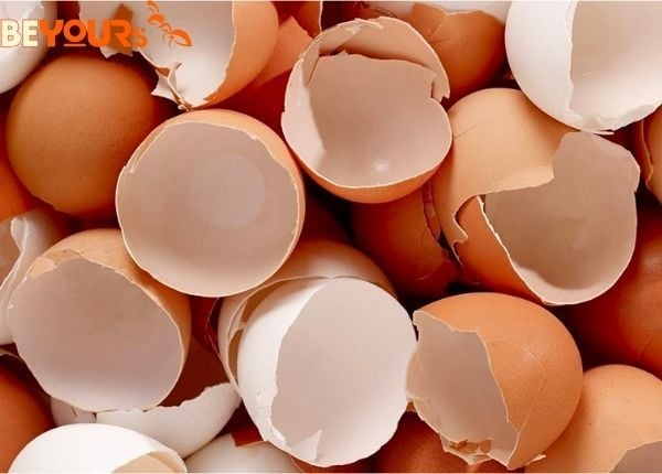Đặt một số trong những vỏ trứng trước nhà