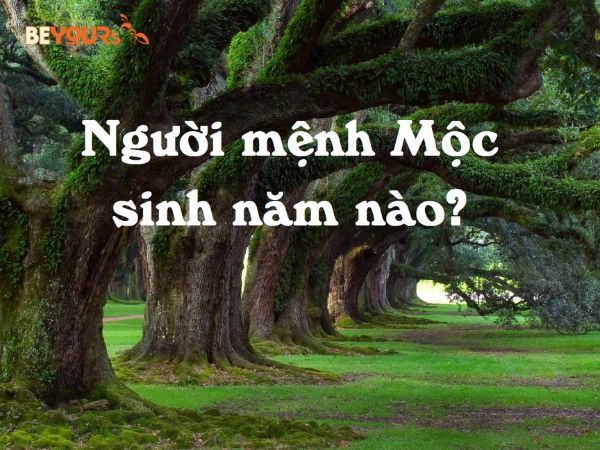 Tuổi và năm sinh của người mệnh Hỏa