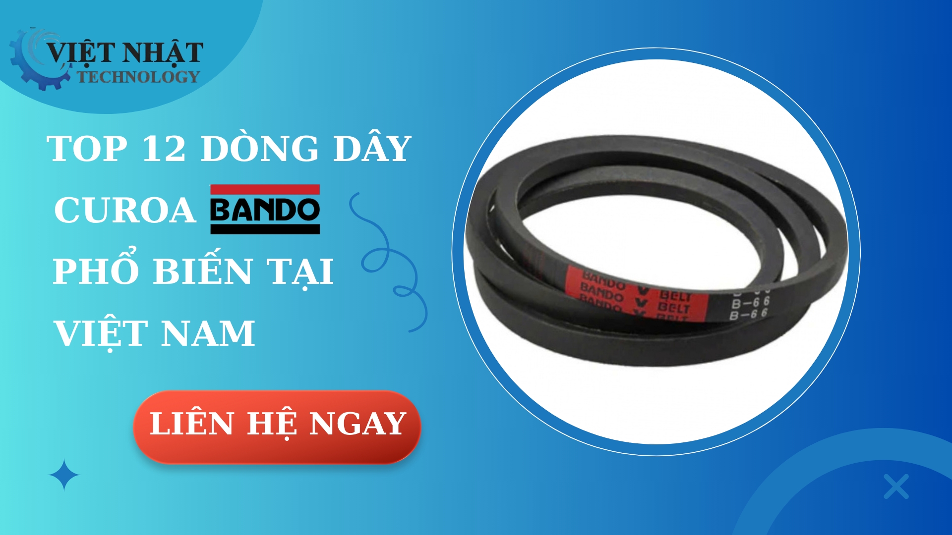 TOP 12 DÒNG DÂY CUROA BANDO PHỔ BIẾN TẠI VIỆT NAM