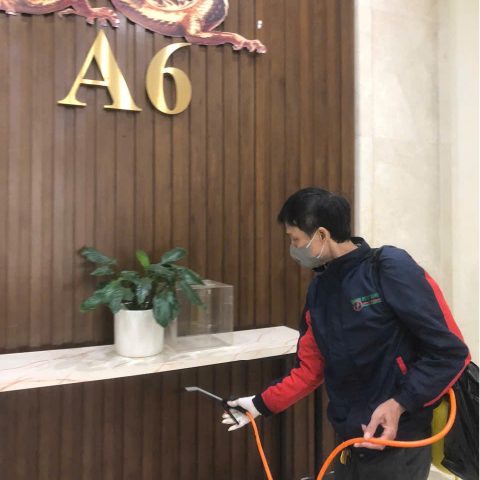 Quy trình làm việc của một công ty kiểm soát côn trùng chuyên nghiệp